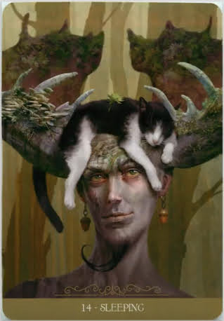 Fantasy Cats Oracle